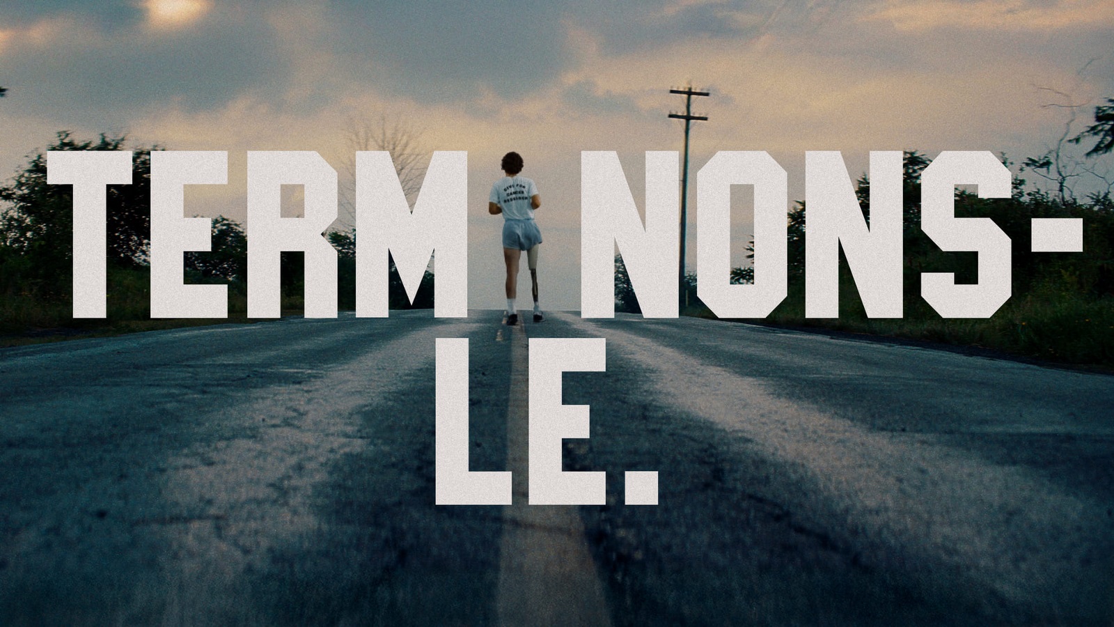 Term Nons-Le