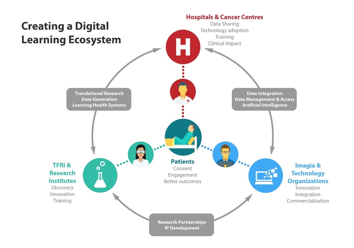 Learning Ecosystem