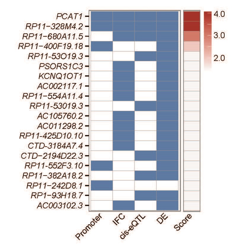 candidate list RNA